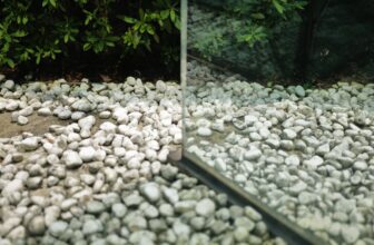 Photo Before and After