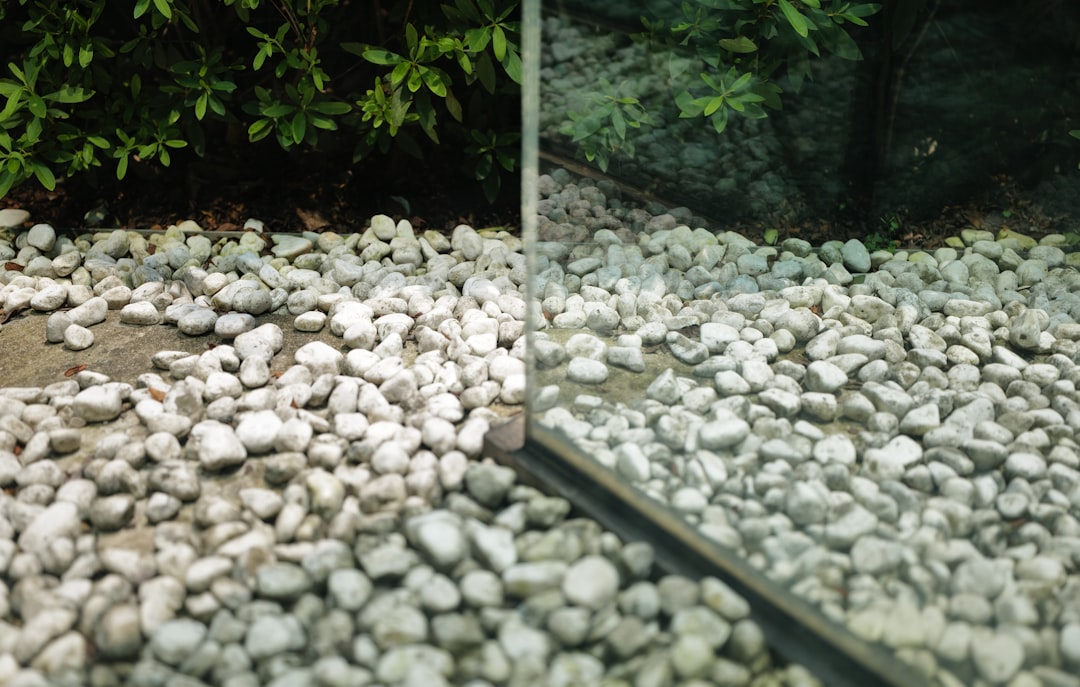 Photo Before and After