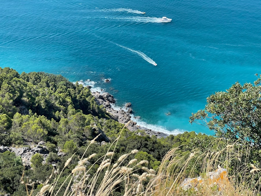 Wellness Retreats